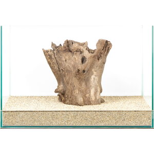 _@X^vEbh@45cmp@880001@֓