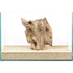 _@X^vEbh@45cmp@880002@֓