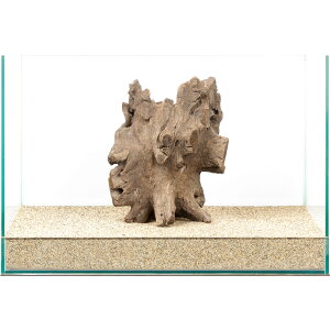 _@X^vEbh@45cmp@880007@֓