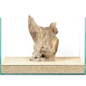 _@X^vEbh@45cmp@880008@֓