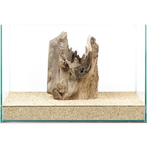 _@X^vEbh@45cmp@880012@֓