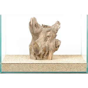 _@X^vEbh@45cmp@880015@֓