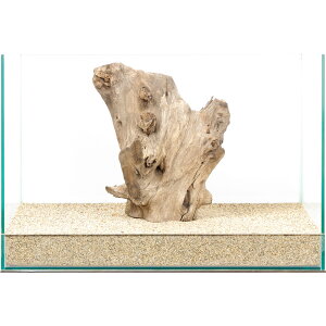 _@X^vEbh@45cmp@880016@֓