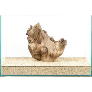 _@X^vEbh@45cmp@880017@֓