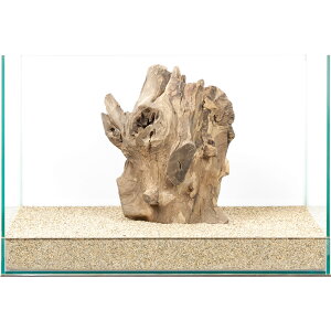 _@X^vEbh@45cmp@880021@֓