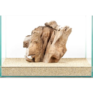 _@X^vEbh@45cmp@880026@֓