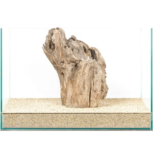 _@X^vEbh@45cmp@880030@֓