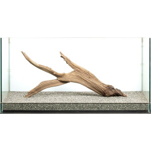 _@S[XgEbh@^p@880032@֓