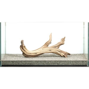 _@S[XgEbh@^p@880038@֓