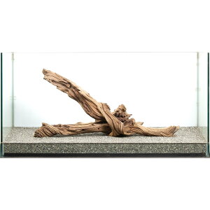 _@S[XgEbh@^p@880039@֓