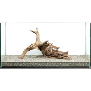 _@S[XgEbh@^p@880047@֓