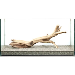 _@S[XgEbh@^p@880049@֓