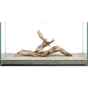 _@S[XgEbh@^p@880051@֓