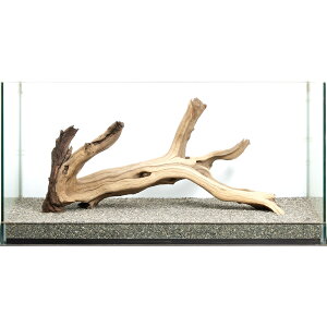 _@S[XgEbh@^p@880052@֓