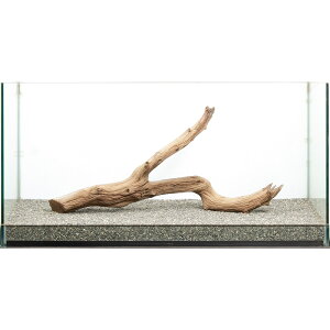 _@S[XgEbh@^p@880060@֓