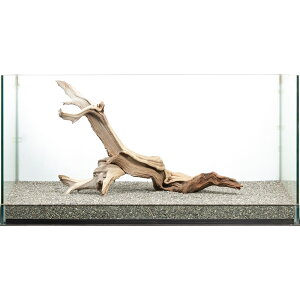 _@S[XgEbh@^p@880062@֓