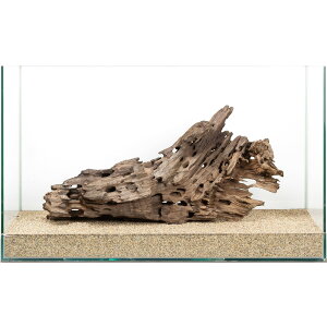 _@60cmp@njJEbh@880079@֓