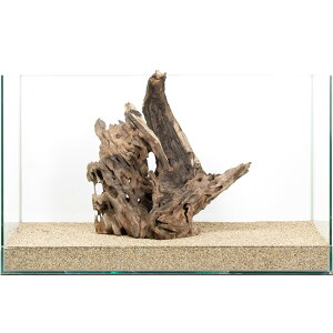 ��_���@60cm�����p�@�n�j�J���E�b�h�@880082�@�֓�������