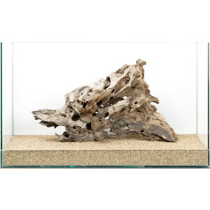 ��_���@60cm�����p�@�n�j�J���E�b�h�@880085�@�֓�������