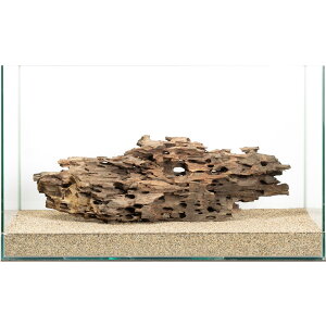 _@60cmp@njJEbh@880095@֓