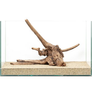 ��_���@�h���t�g�E�b�h�@60cm�����p�@880098�@�֓�������