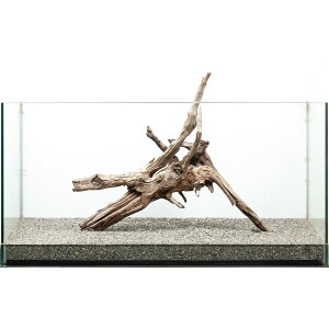 _@htgEbh@^p@880163@֓