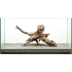 _@htgEbh@^p@880165@֓