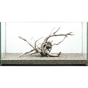 _@[cEbh@^p@880171@֓