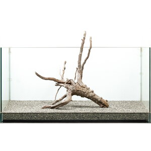 _@WAEbh@^p@880172@֓