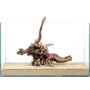 ��_���@�f�B�A�[�z�[���E�b�h�@60cm�����p�@880185�@�֓�������