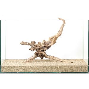 _@fBA[z[Ebh@60cmp@880189@֓