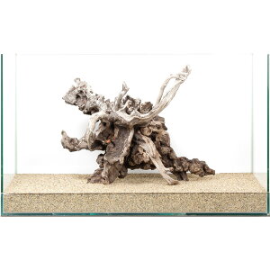 _@fBA[z[Ebh@60cmp@880192@֓