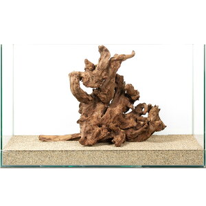 _@TSEbh@60cmp@880199@֓