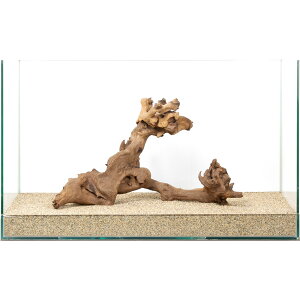 _@TSEbh@60cmp@880202@֓