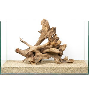 _@TSEbh@60cmp@880211@֓