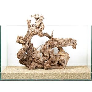 _@TSEbh@60cmp@880212@֓