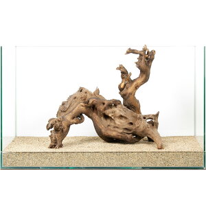 _@TSEbh@60cmp@880217@֓