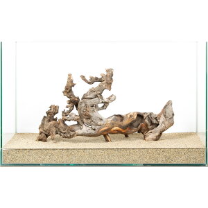 _@TSEbh@60cmp@880218@֓