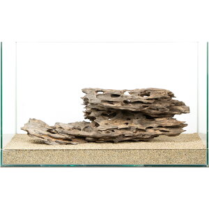 _@njJEbh@60cmp@880223@֓