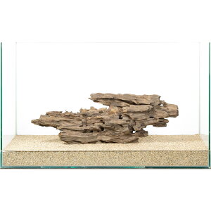 _@njJEbh@60cmp@880225@֓