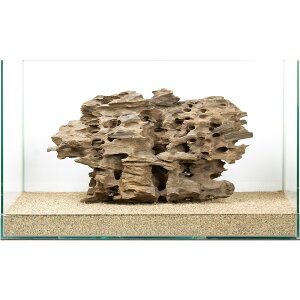 ��_���@�n�j�J���E�b�h�@60cm�����p�@880234�@�֓�������