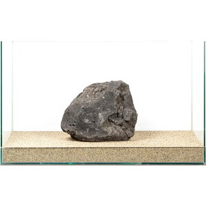 一点物 黒溶岩石 親石 60cm水槽用 880235 関東当日便