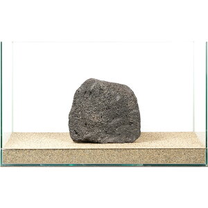 _@n΁@e΁@60cmp@880236@֓