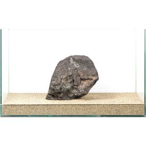 _@n΁@e΁@60cmp@880241@֓