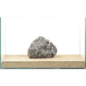 _@΁@e΁@60cmp@880245@֓