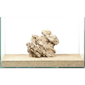 _@΁@e΁@60cmp@880255@֓