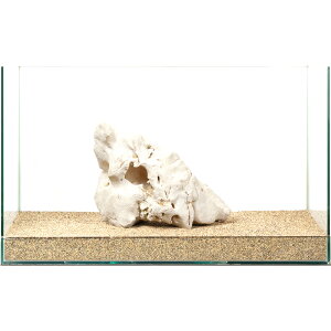 _@΃TS@e΁@60cmp@880258@֓