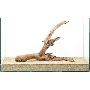 _@㎿؁@@60cmp@880260@֓