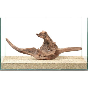 _@㎿؁@@60cmp@880261@֓