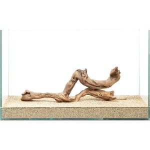 _@㎿؁@@60cmp@880263@֓